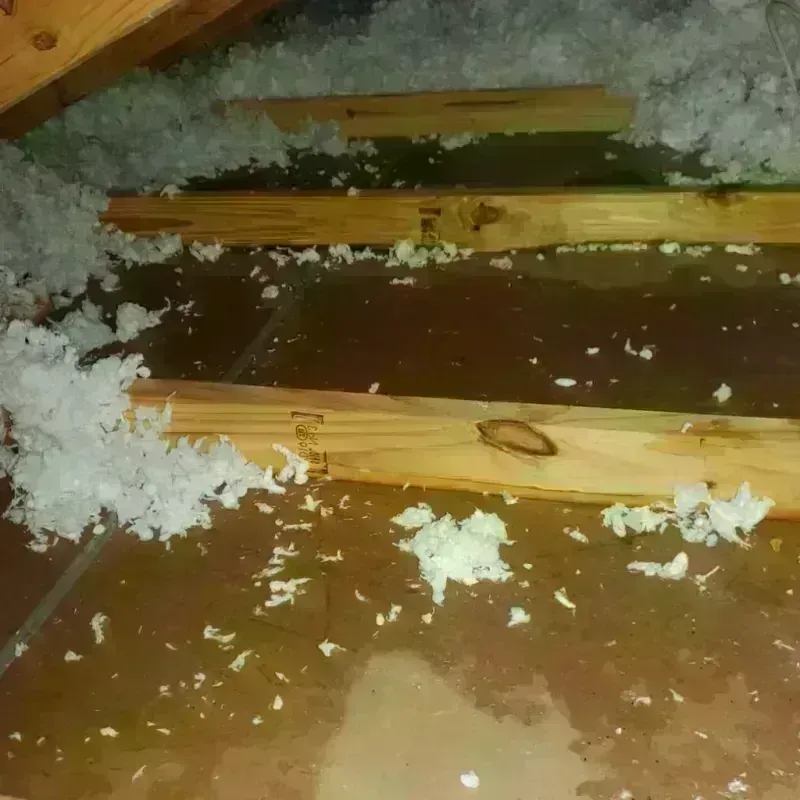 Attic Water Damage in Gray, GA