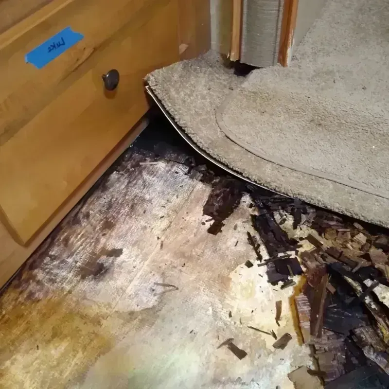 Best Wood Floor Water Damage Service in Gray, GA